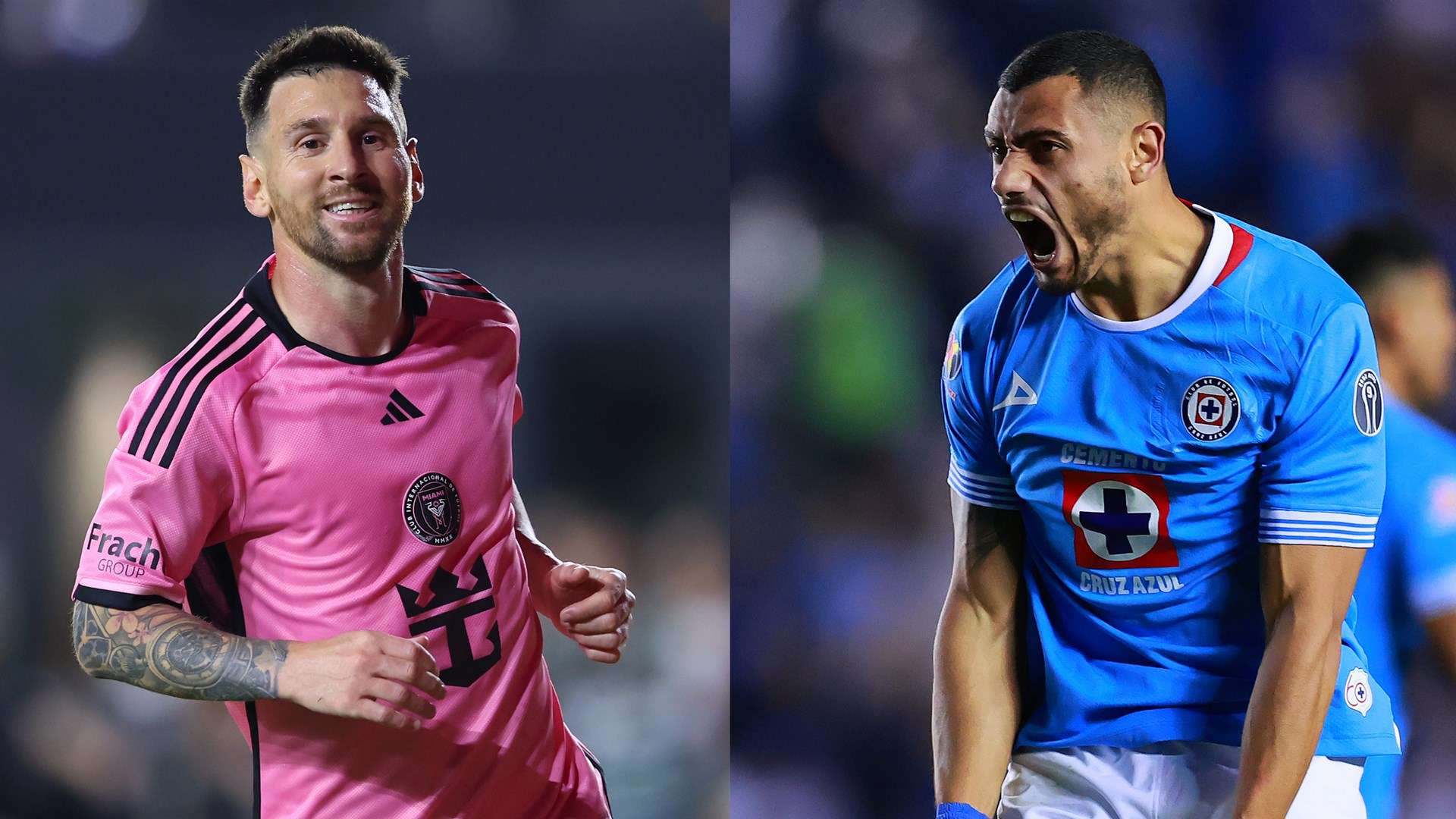 了惊人的 了惊人的